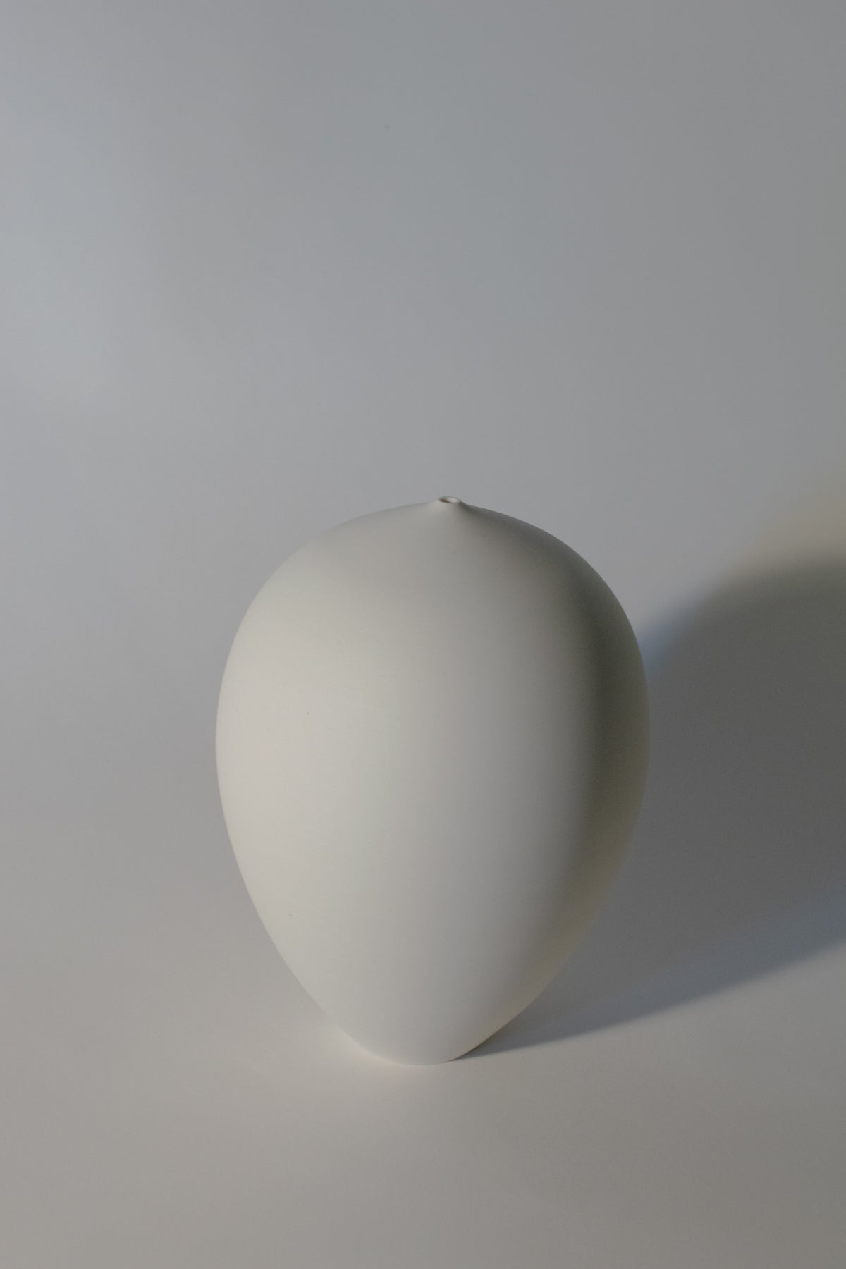 Porcelain vase