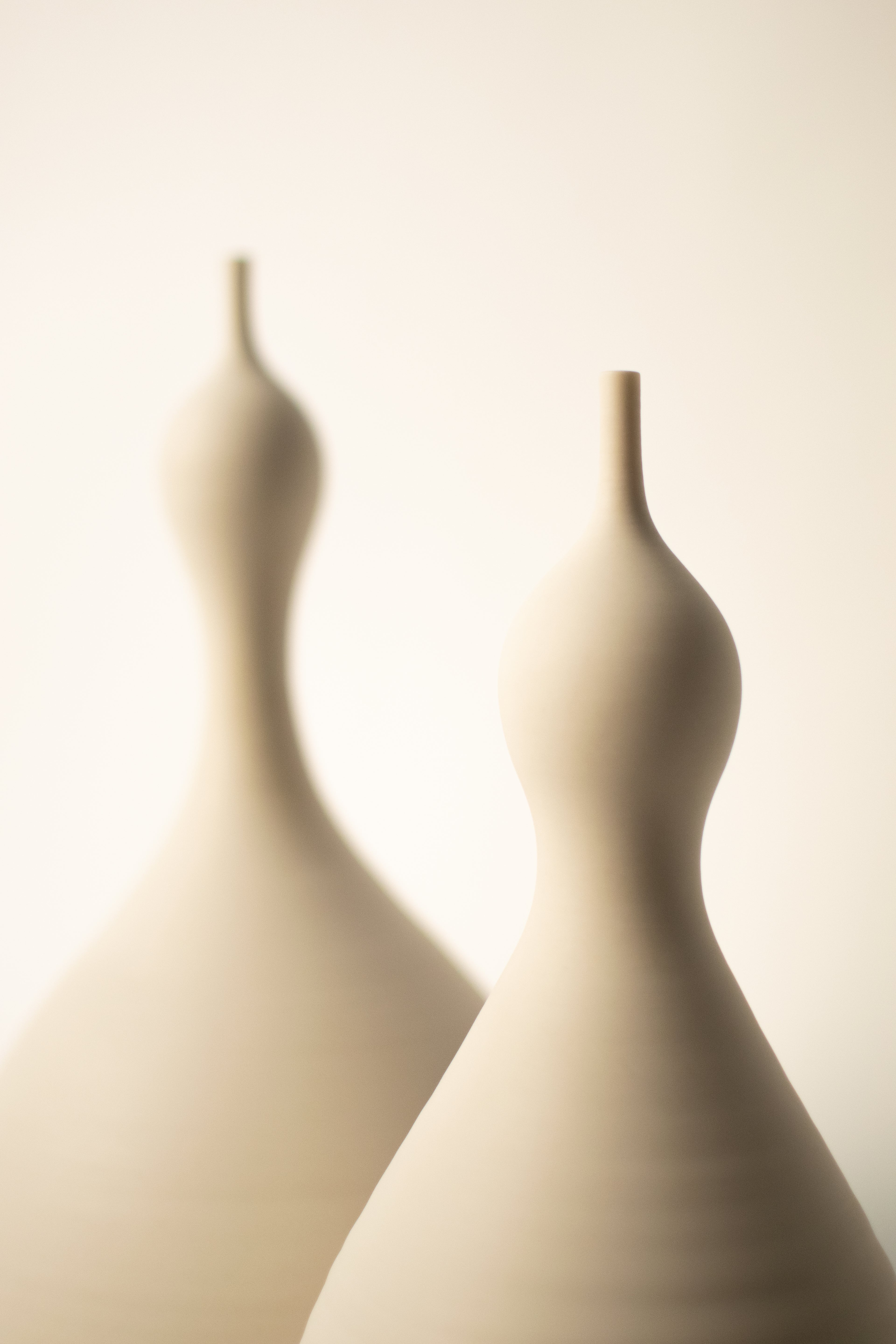 Porcelain vases